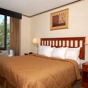 Standard Lower Floors King Room